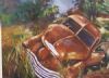 "Old Chev at Leliefontein"