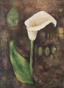 "Arum Lily 3"