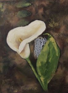 "Arum Lily 4"