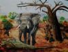 "Elephant in Africa"