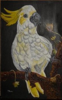 "Cockatoo"