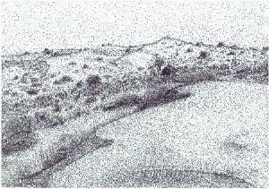 "Dunes"