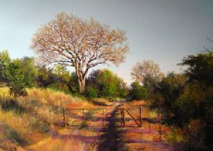 "Bushveld 3"