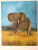 "African Elephant"