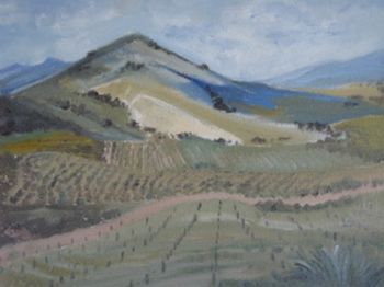 "The Riebeek Valley"