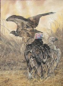 "Vultures"