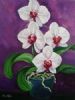 "Flowering Orchid"