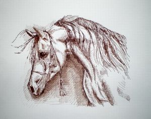 "Equus 1"