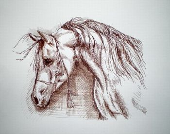 "Equus 1"