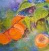 "Apricot"