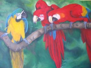 "parrots"