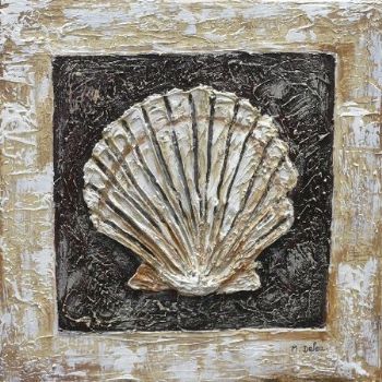 "Seashell"