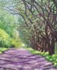 "Amethyst Road"