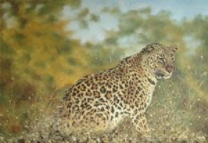 "Leopard"