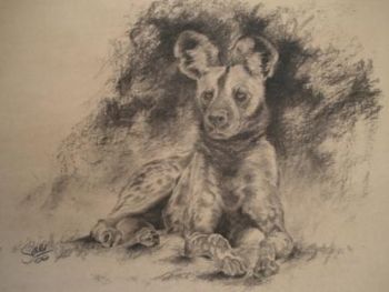 "Wild Dog in Charcoal"