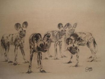"Wild Dogs in Charcoal"
