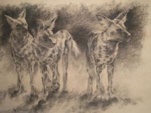 "Wild Dog in Charcoal"
