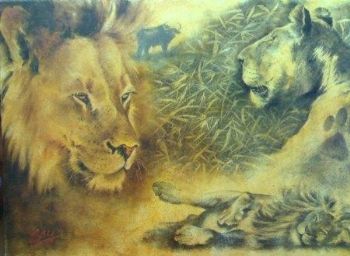 "Lion study"