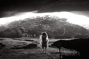 "Scapegoat"
