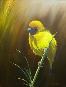 "Masked Weaver"