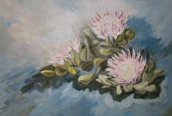 "Proteas"