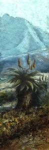 "Aloe Ferox (and sleeping beauty)"