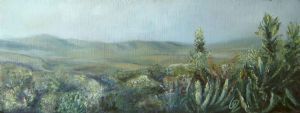 "Umfolozi landscape"