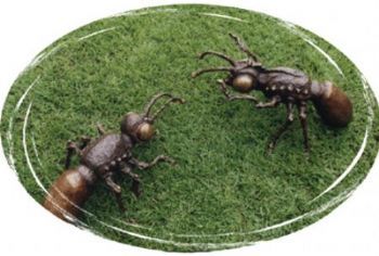 "Ants"