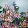 "Proteas in the Mist"