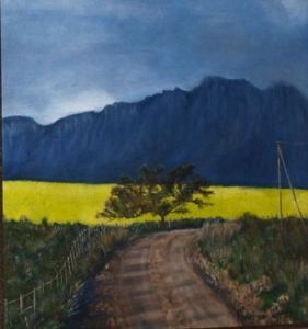 "Canola Field Swellendam"