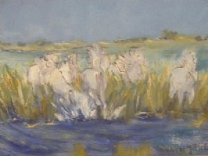 "Camargue Horses"