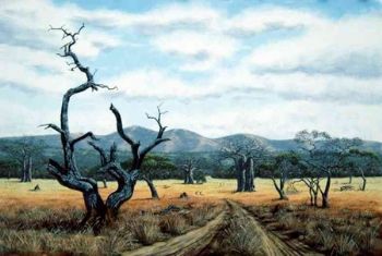 "Bush Veld 1"