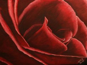 "Rose 1"