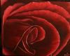 "Rose2 (set of 2)"