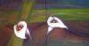 "Lily, two pieces"
