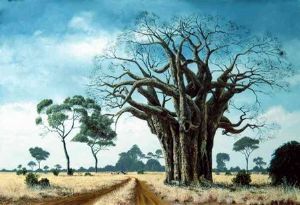 "Baobab"