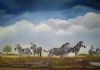 "Zebra Under African Sky"