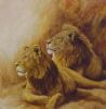 "Lions"