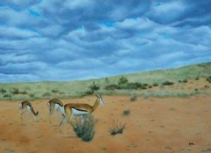 "Kgalagadi Landscape"