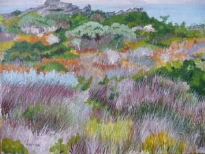 "Betty's Bay Dune Grass"