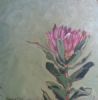 "Fynbos 4, Botrivier protea"