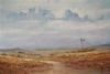 "Late afternoon in Karoo"
