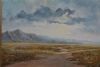 "Later Afternoon Near Steynsburg"
