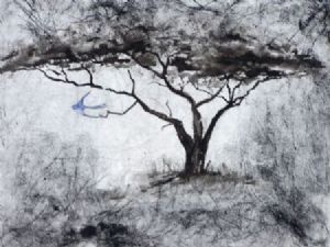 "Blue Bird of Happiness Thorn Tree"