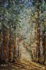 "Redwood Forest"