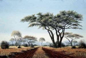 "Bushveld 9"