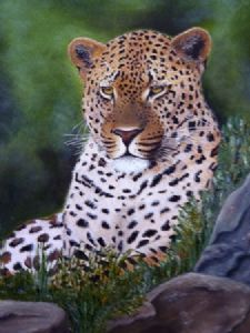 "eye of the leopard"