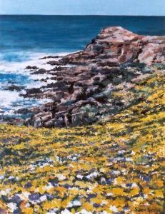 "Namaqualand: Spring Flowers on West Coast"