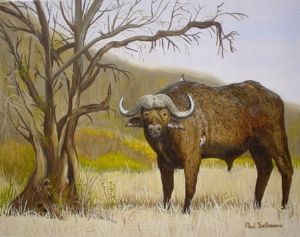 "Buffalo by termite-eaten tree"