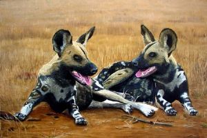 "Wild Dogs/Painted Dogs"